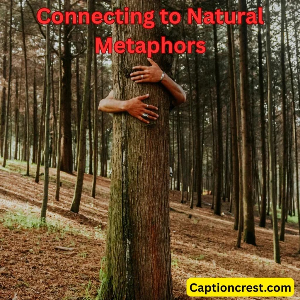 🌿 Connecting to Natural Metaphors